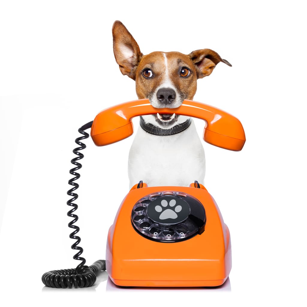 iStock 621138854